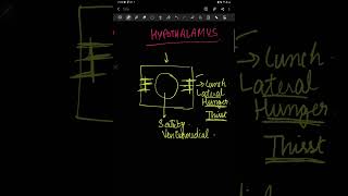 Mnemonic for hypothalamic nuclei [upl. by Beaudoin]