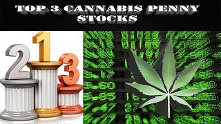 3 Marijuana Penny Stocks That Could Be the Real Deal [upl. by Einra622]