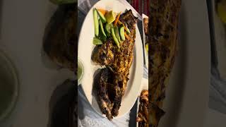 food seafood seafooddishes seafoodrecipes grilled shortvideo [upl. by Akehsyt]