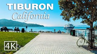 4K Tiburon A Walking Tour Of Californias Beautiful Hidden Gem [upl. by Gratt308]