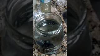 Benefits of borax and shungite water [upl. by Houlberg]