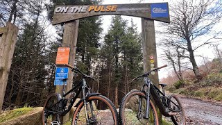 Rostrevor MTB Park [upl. by Nosreffej]