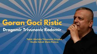 Goran Goci Ristic  Dragomir Trivunovic Radomir Offical Audio [upl. by Weirick]