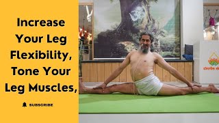 Hanumanasana Monkey Pose Meaning and Benefits yogacharyadhakaram [upl. by Dinan]