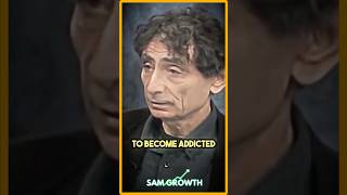 Why Capitalism Causes Addiction  Gabor Maté [upl. by Alleon]