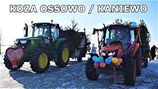 KOZA OSSOWO  KOZA KANIEWO  Czyli Kujawskie Zapusty [upl. by Athalla362]