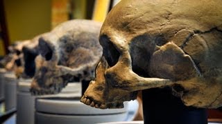 Humans vs Neanderthals  Who Would Win Archaeologists Weigh In [upl. by Norwood]