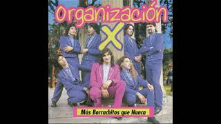 Organizacion X Megamix By Dj Tavo Mix Chile [upl. by Madora764]