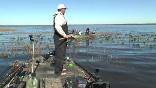 Lake Lochloosa Crappie fishing in Florida [upl. by Feeley]