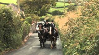 The Shire Horse in the 21st Century [upl. by Gayle]