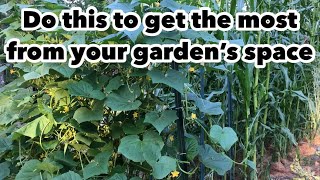 How to double the number of plants in your garden space  part I [upl. by Kilbride223]