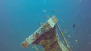 MV Dania Dive Mombasa Kenya [upl. by Nilla]