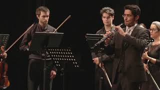 Antonio Vivaldi Oboe concerto in D minor RV 454  Samuel Bastos [upl. by Ellon]