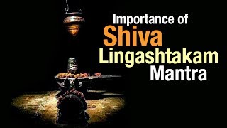 Importance of Shiva Lingashtakam Mantra  Artha  AMAZING FACTS [upl. by Ednalrym914]