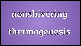 Nonshivering thermogenesis Meaning [upl. by Lundeen]