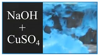 NaOH  CuSO4 Reaction 🧪🧪🧪 One of my Favorite Chemical Reactions [upl. by Hurley238]