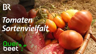 Sortenvielfalt bei Tomaten [upl. by Christie]