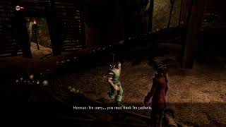 Fable 2 on xbox series X is unplayable [upl. by Stephens]