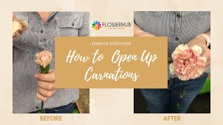 How to open up Carnations in 30 seconds [upl. by Jaddo978]