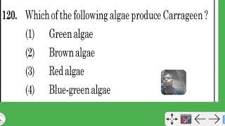 which of the following algae produce carrageen [upl. by Oirevlis171]