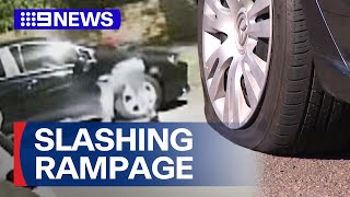 Tyres slashed by mystery man in Sydney rampage  9 News Australia [upl. by River]