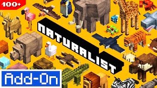 Naturalist Animals  Minecraft Marketplace Addon  Showcase [upl. by Aronid]