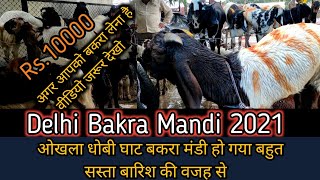 Okhla Dhobi Ghat Bakra Mandi 2021 Batla House Dhobi Ghat Bakra Mandi Update Delhi Bakra Mandi 2021 [upl. by Ixel]