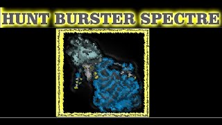 Paladin Solo Hunt Burster Spectre 45kkh on 150 [upl. by Ybroc]