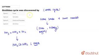 Ornithine cycle was discovered by [upl. by Lyudmila491]