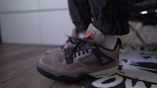 Air Jordan 4 Taupe Haze Review [upl. by Alesandrini]