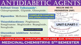 Antidiabetic agents  Diabetes mellitus  unit5 L1  medicinal chemistry 2  B pharmacy 5th sem [upl. by Ashbaugh585]