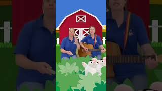 Three Blind Mice  Nursery Rhyme  Musical Mayhem nurseryrhymes acoustic [upl. by Direj]