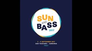 Mark System  Sun and Bass 2017 [upl. by Neggem36]