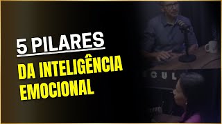 5 PILARES DA INTELIGÊNCIA EMOCIONAL [upl. by Fletcher]