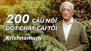 200 câu nói ĐỐT CHÁY CÁI TÔI của Krishnamurti [upl. by Doe769]