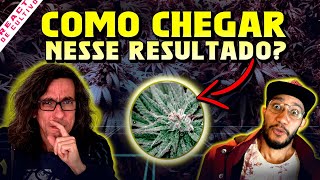 QUE GENÃ‰TICAS UMA ASSOCIAÃ‡ÃƒO CULTIVA CLONAGEM DOMINADA ESPAÃ‡O DE PROPAGAÃ‡ÃƒO E DICAS DE CULTIVO [upl. by Seamus]