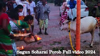 Santali Sagun Soharai Porob video 2024santalivideosantalisongshortvideosohraysoharaisantali [upl. by Llenrad389]