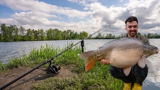 So fängst du im Frühsommer I Karpfenangeln am Baggersee [upl. by Kcid]