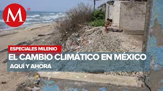 Aquí y ahora El cambio climático en México  Especiales Milenio [upl. by Attiuqehs158]