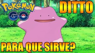 Pokémon GO DITTO PARA QUE SIRVE CUAL ES SU HABILIDAD Y CRIANZA [upl. by Gnihc]