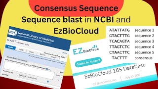 Consensus sequences from forward and reverse sequences Blast in NCBI and EzBioCloud DrZahidMumtaz [upl. by Macleod]