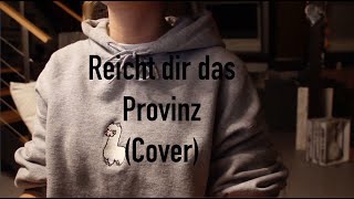 Reicht dir das  Provinz  Cover loooni [upl. by Netsreik]