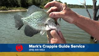 Crappie Fishing at Lake Eufaula [upl. by Wrennie]