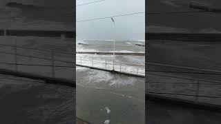 Big Waves Footage During Typhoon Pepito [upl. by Maharva]