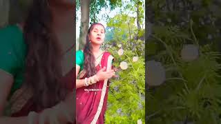 Khate ho ya khaliya youtubeshorts lovesong subscribe [upl. by Joice]