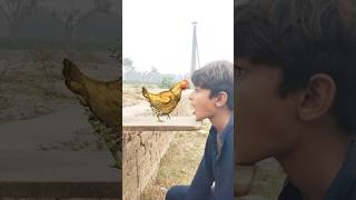 Eating hen duck and pigeon shorts viralvideos trending [upl. by Nemlaz]