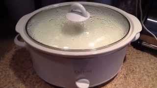 Homemade Yogurt in the Crockpot [upl. by Ethelbert]