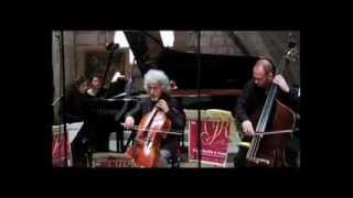 F Schubert Trout quintet  3 Scherzo Official Music Video [upl. by Nole]