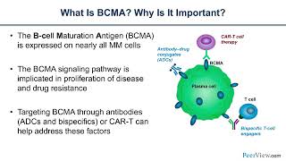 Betting on BCMA Therapy in Multiple Myeloma [upl. by Skippie]