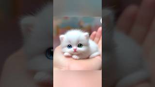 Cute cats pic 😻😻cute dpcat baby [upl. by Ayatnahs220]